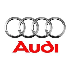 dhas partner audi