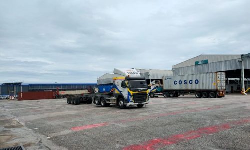 dhas import and export services