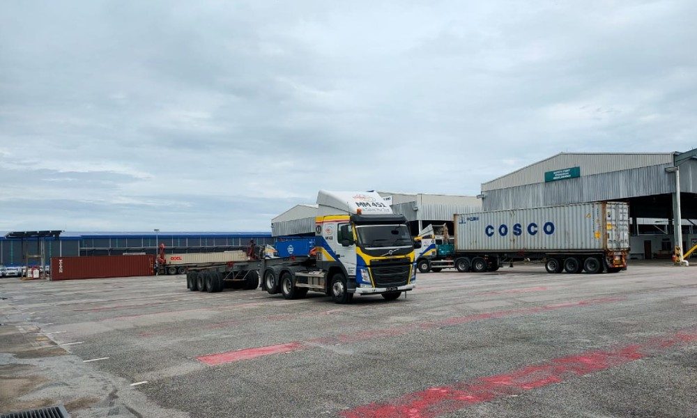 dhas import and export services