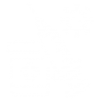 dhas fully vaccineted